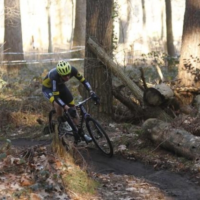 brejens6c_(Copy).jpg