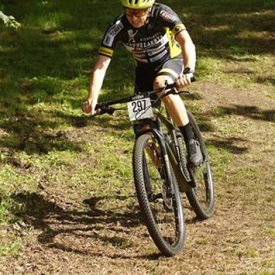 lisvijv2h_(Copy).jpg